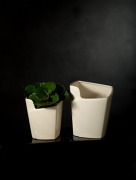 Osłonki Dalia, wysokość 14, 19 i 23 cm