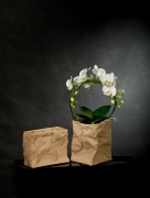 Bag osłonka